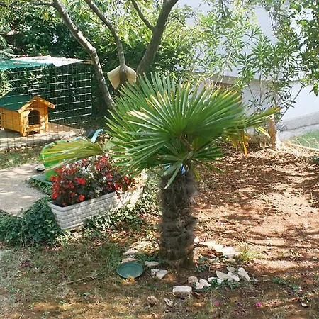 Studio 2285a Poreč
